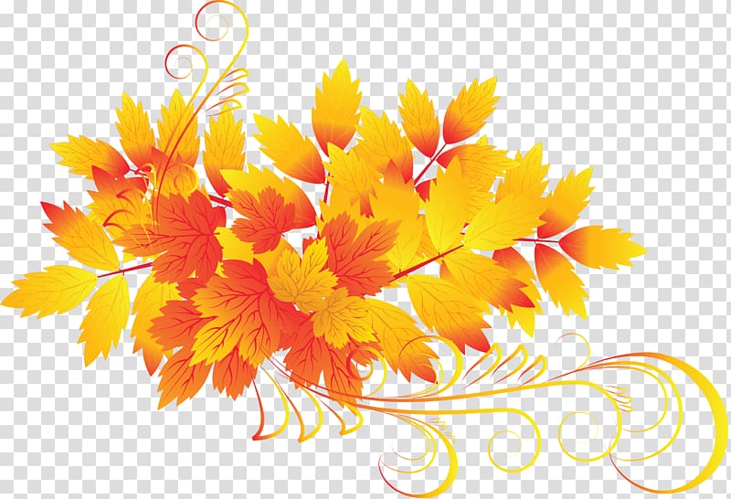 Autumn , Withered autumn leaves transparent background PNG clipart