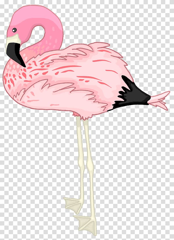Flamingo Drawing , flamingo transparent background PNG clipart
