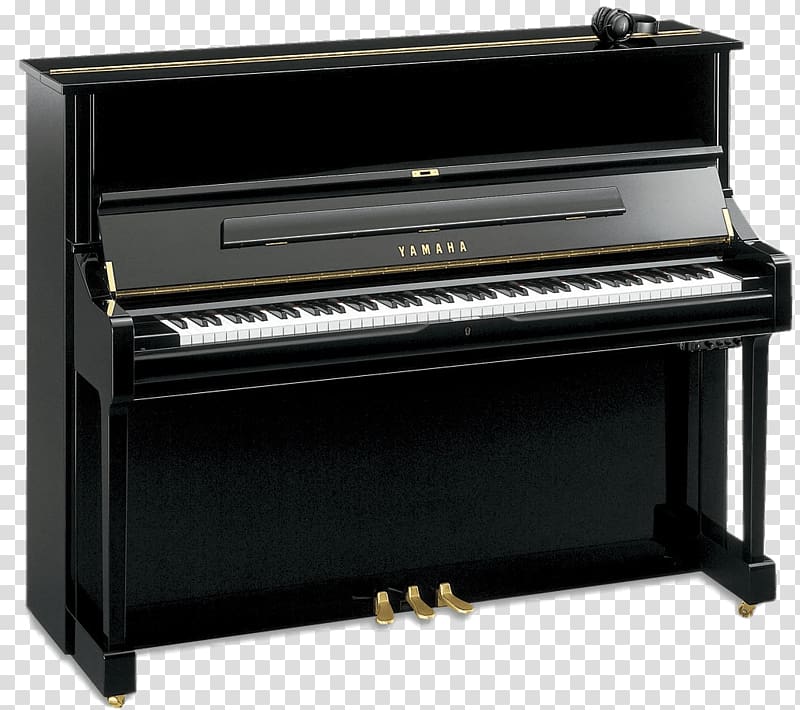 Transparent store upright piano