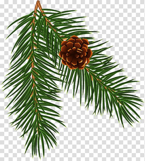 Spruce Christmas ornament Pine Fir Larch, design transparent background PNG clipart