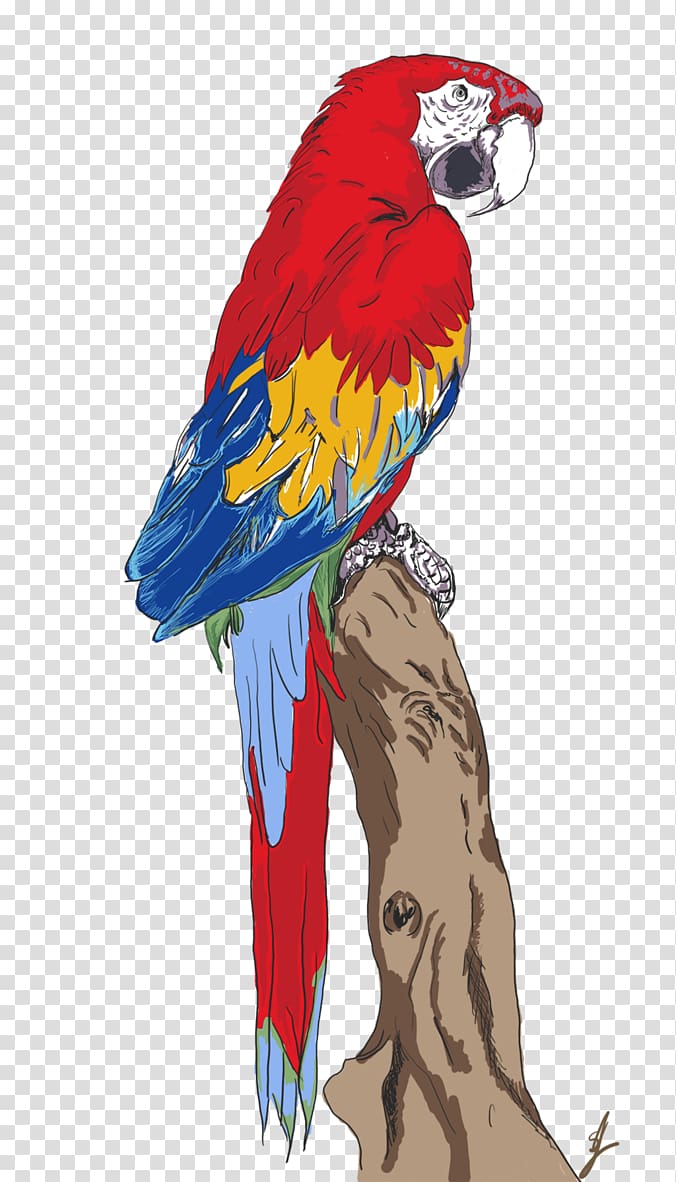 Macaw Parrot Beak Feather, parrot transparent background PNG clipart