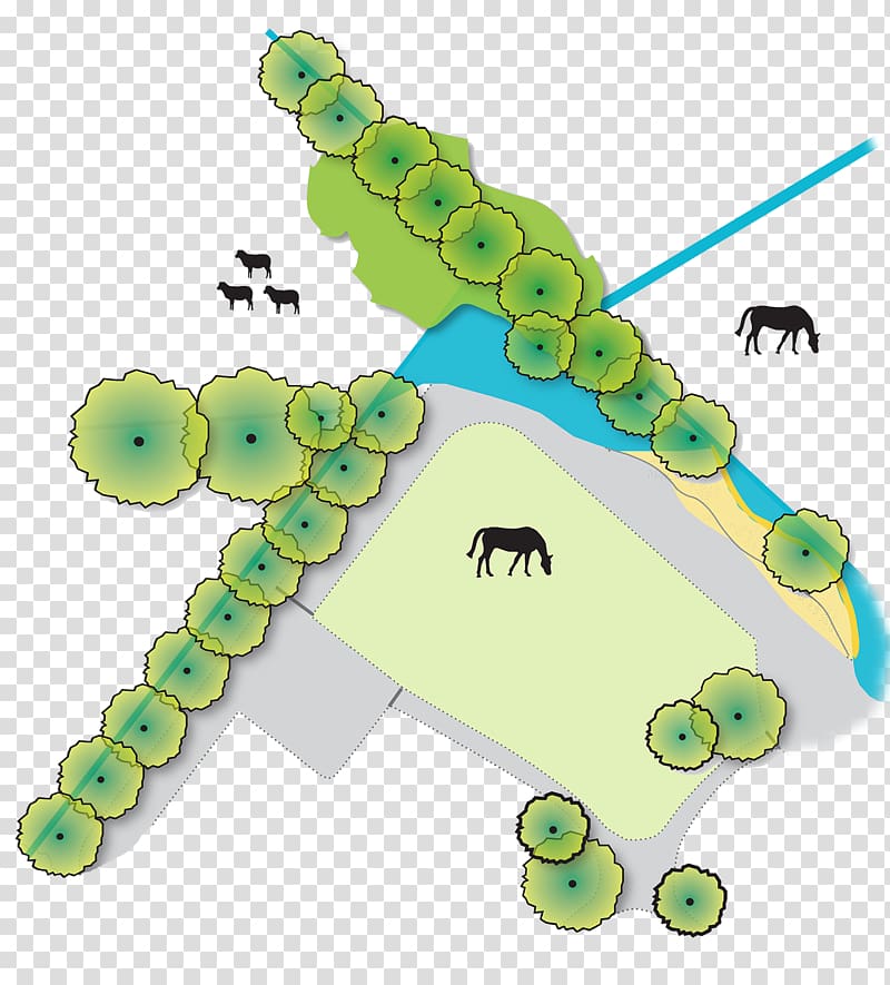 Horse Equestrian Centre Landscape architecture Sketch, horse transparent background PNG clipart