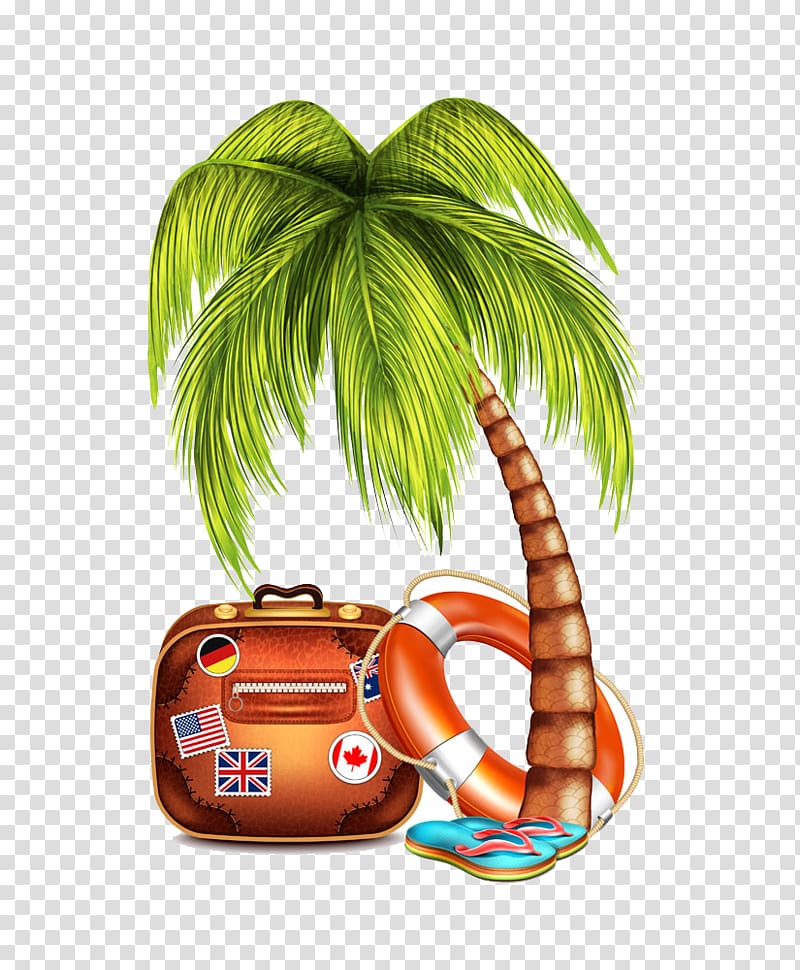 Coconut Arecaceae Tree , Coconut tree trunk flops illustration transparent background PNG clipart