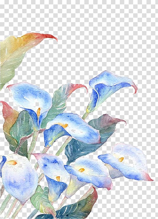 blue flowers , Watercolor painting Flower Illustration, Blue flowers transparent background PNG clipart