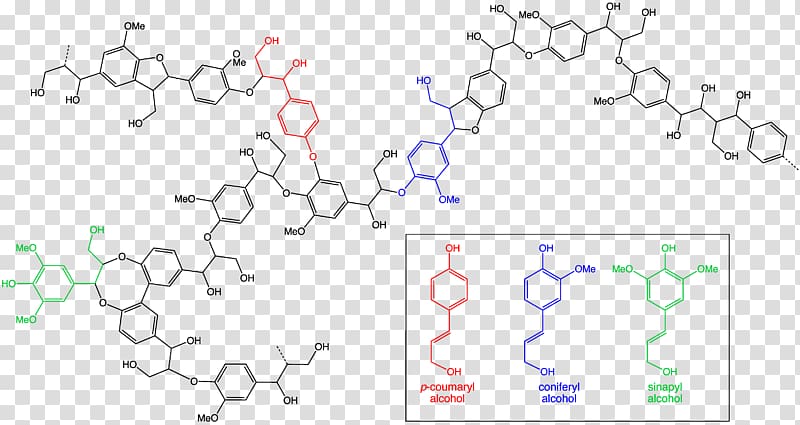 Lignin Chemical structure Wood Chemical substance, structural combination transparent background PNG clipart