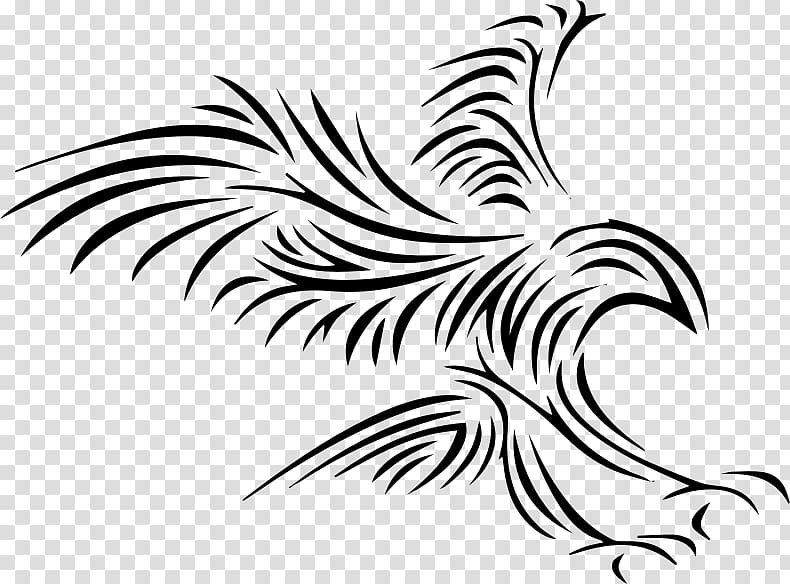 Bald Eagle Eagle feather law , eagle transparent background PNG clipart