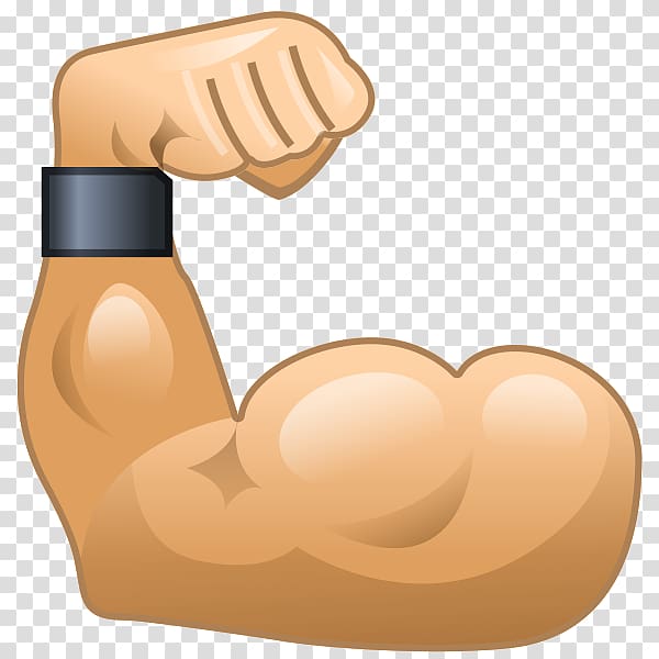 Muscle transparent background PNG clipart