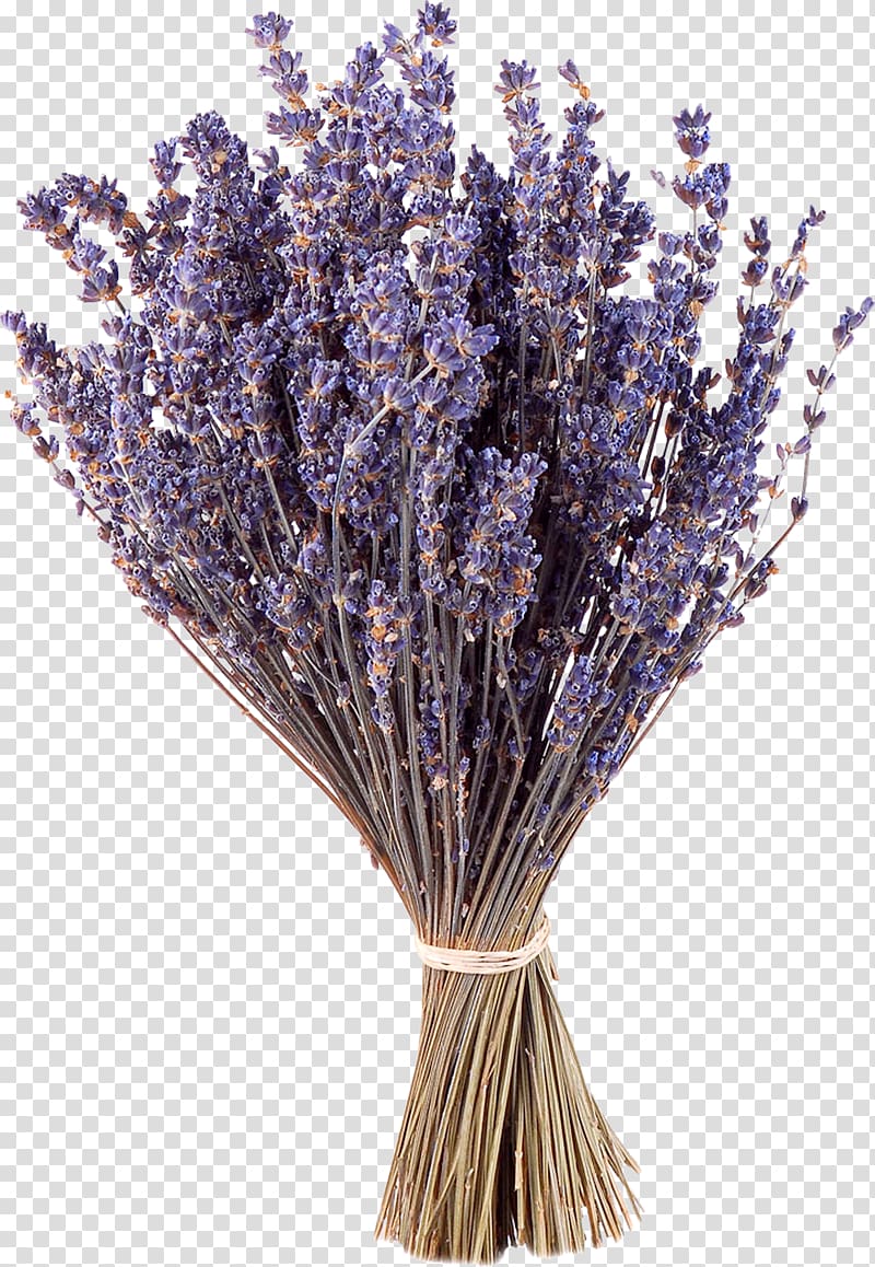 Lavender Purple Flower Google s, Purple Bouquet transparent background PNG clipart
