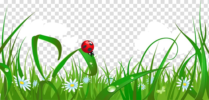 red ladybug illustration on green grass, Poster Vexel, Cartoon fresh spring grass transparent background PNG clipart