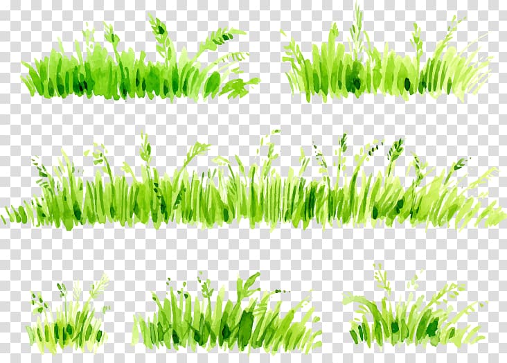 green leaf plant illustration, Watercolor painting , Watercolor painted grass transparent background PNG clipart
