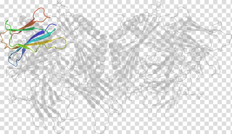 Graphic design Line art Sketch, Major Histocompatibility Complex transparent background PNG clipart