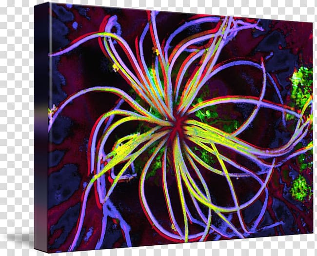 Modern art Symmetry Fractal art Pattern, Sea anemone transparent background PNG clipart