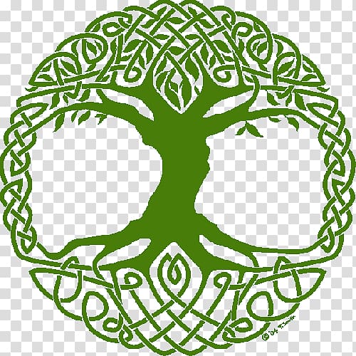 Tree of life Symbol Celtic sacred trees, symbol transparent background PNG clipart