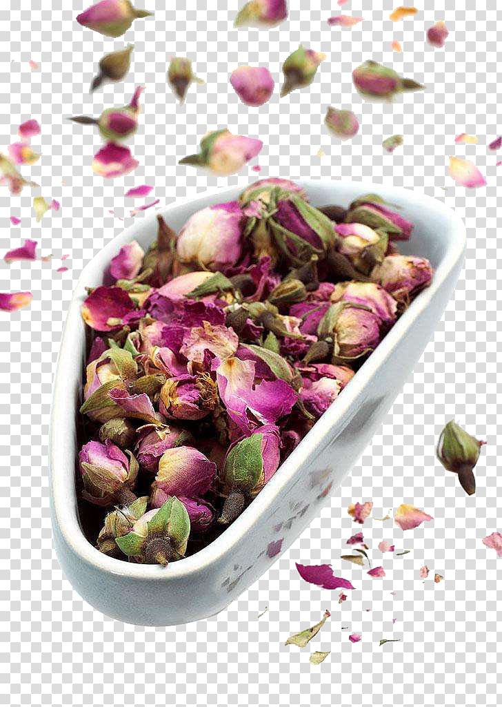 Flowering tea Beach rose Chrysanthemum tea, rose Tea transparent background PNG clipart