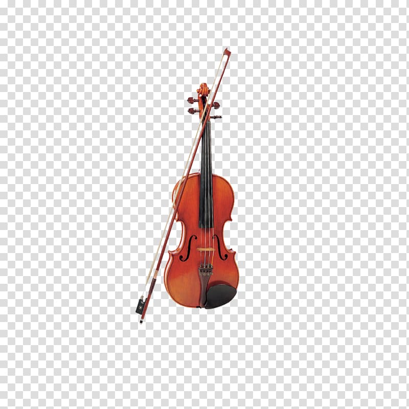 Bass violin Violone Viola Musical instrument, Exquisite violin transparent background PNG clipart