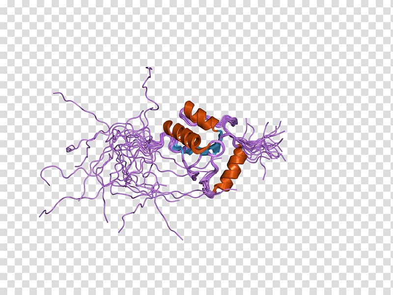 Terminal deoxynucleotidyl transferase Nucleotidyltransferase DNA Enzyme, others transparent background PNG clipart