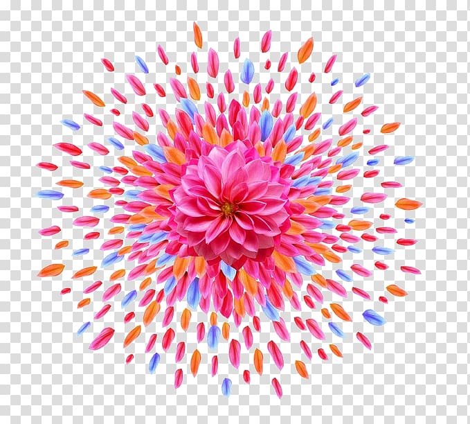 Flower Petal Car phone, Color petal shape spell fireworks transparent background PNG clipart