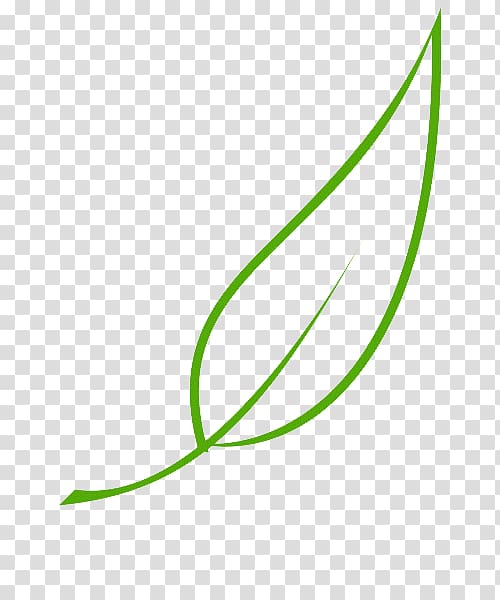 Leaf Paper Tree Drawing, Leaf transparent background PNG clipart