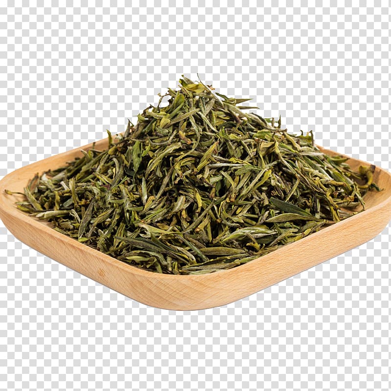 Green tea Hu014djicha Nilgiri tea Gyokuro, A green tea leaves transparent background PNG clipart