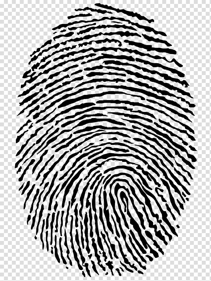 Fingerprint Computer security Biometrics Technology Network security, technology transparent background PNG clipart