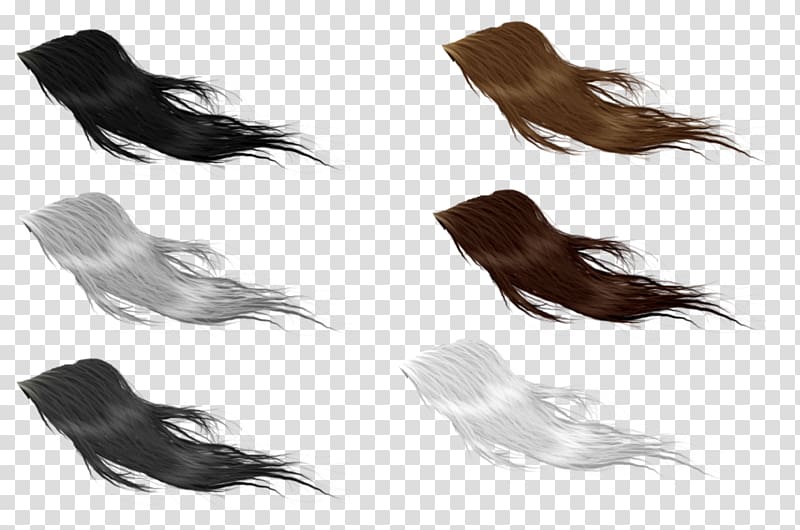 Horse Tail Forelock Drawing Mane, animal brush transparent background PNG clipart