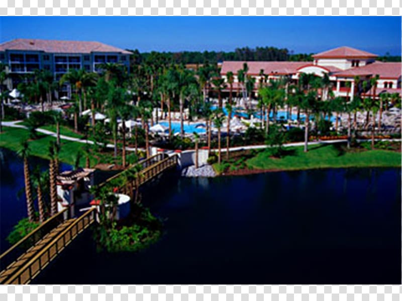 International Drive Universal Orlando Sheraton Vistana Villages Resort Villas, I-Drive/Orlando Walt Disney World, beach resort transparent background PNG clipart