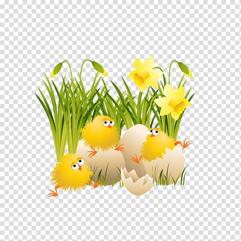 chicks inside egg shell on green grass field illustration, Chicken Easter , Large Easter Chicks transparent background PNG clipart