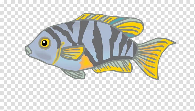 Carassius auratus, striped ornamental fish material transparent background PNG clipart