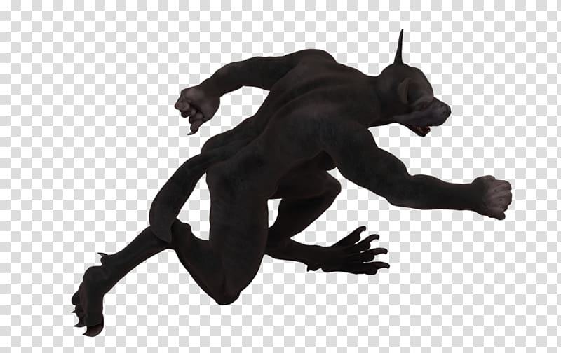 Werewolf: The Forsaken The Werewolves of Millers Hollow, werewolf transparent background PNG clipart
