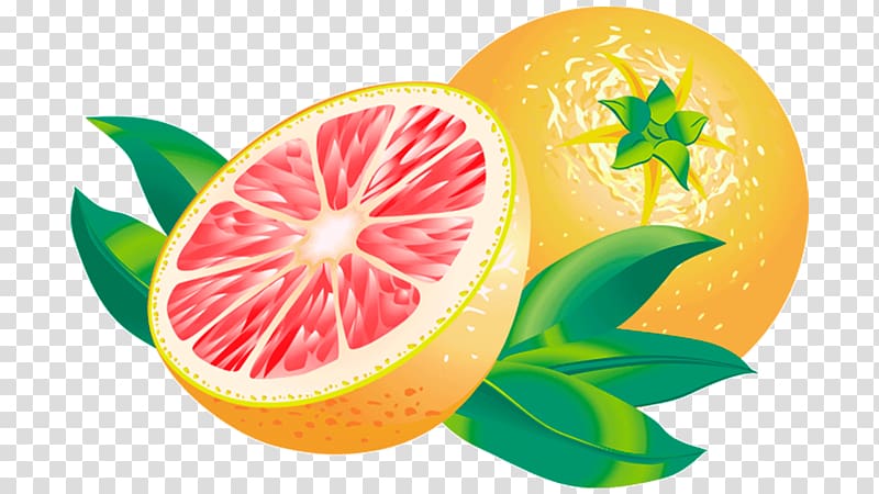 Blood orange Grapefruit juice Lemon Tangelo, grapefruit transparent background PNG clipart