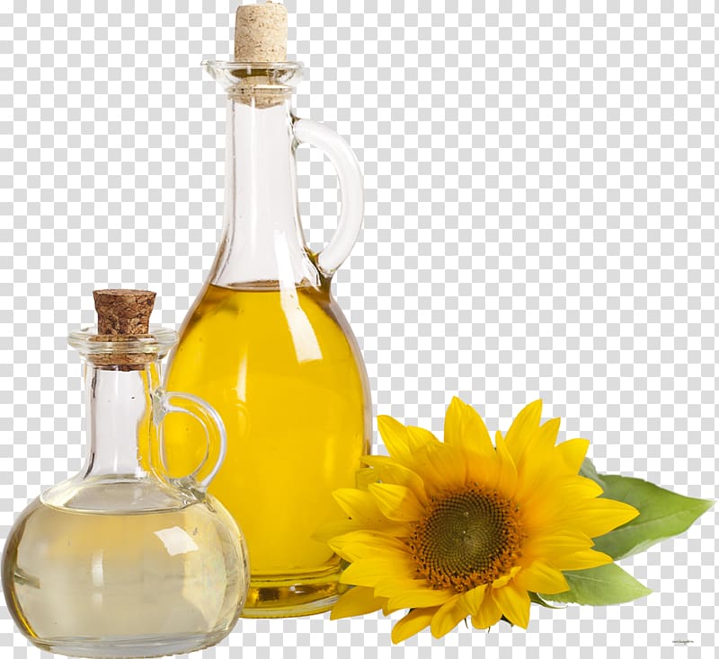 Common sunflower Sunflower oil Vegetable oil Sunflower seed, olive oil transparent background PNG clipart