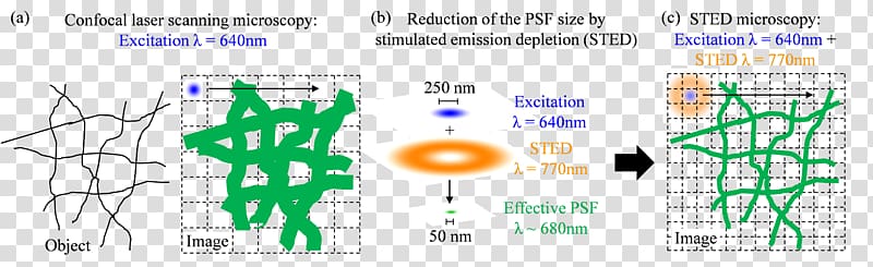 STED microscopy Stimulated emission Graphic design Jablonski diagram, others transparent background PNG clipart