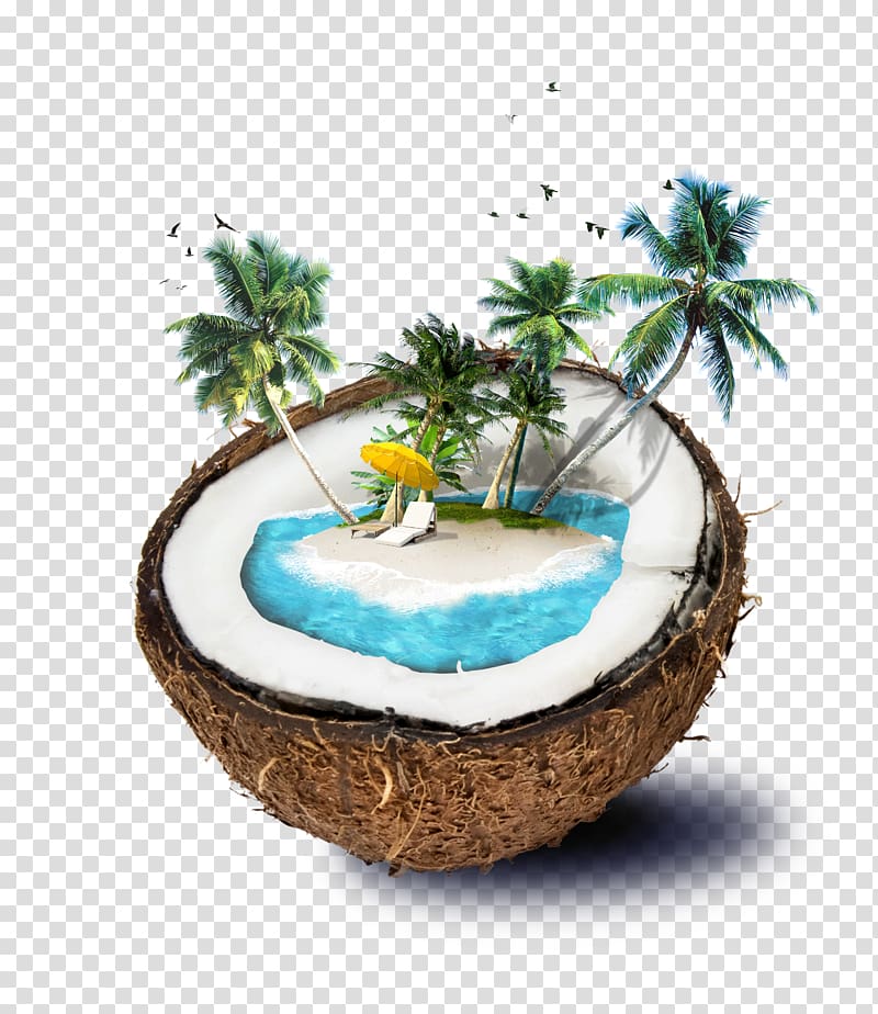 Coconut water Travel, Shading Borders,Shading template ,Shading material , brown coconut transparent background PNG clipart