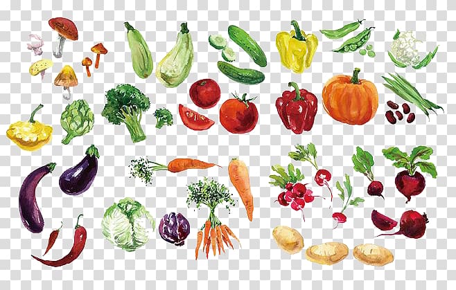 variety of vegetables, Fruit Vegetable Watercolor painting, Watercolor vegetables transparent background PNG clipart