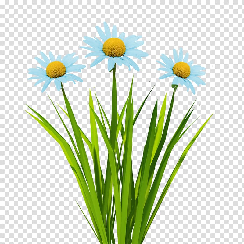 Texture mapping Flower 3D computer graphics Animation, blue flowers transparent background PNG clipart