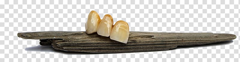 Wood /m/083vt Angle, strong tooth transparent background PNG clipart