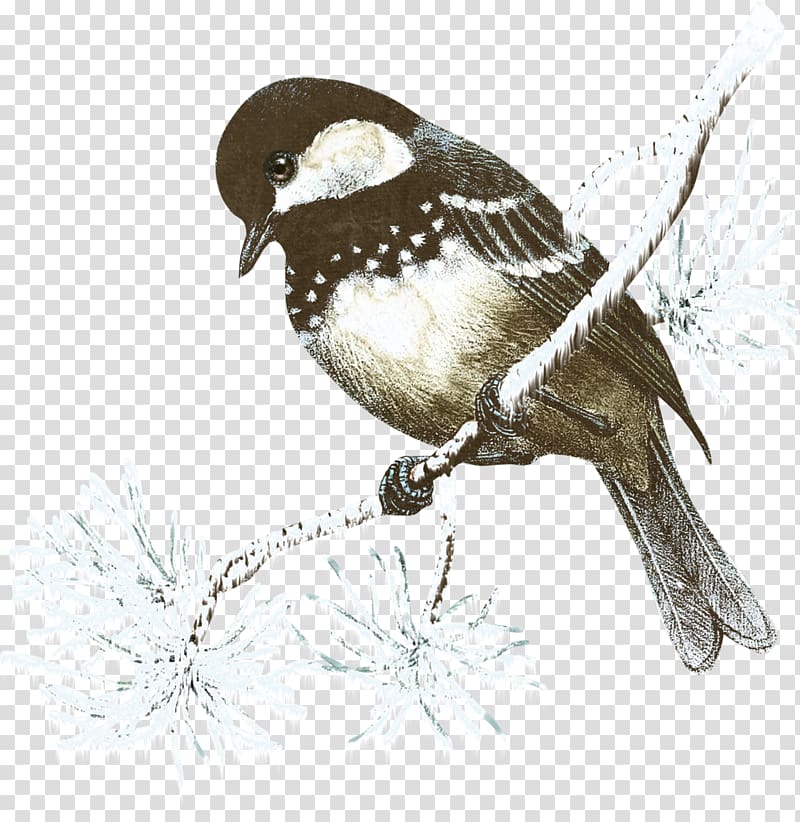 Christmas Bird Idea, birds transparent background PNG clipart