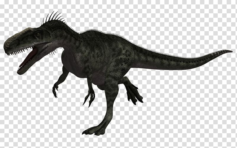 Tyrannosaurus Monolophosaurus Dinosaur Megalosaurus Allosaurus, dinosaur transparent background PNG clipart