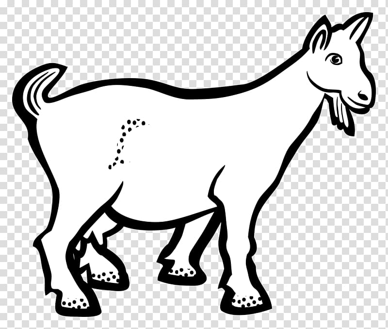 Boer goat Line art Drawing , goat transparent background PNG clipart
