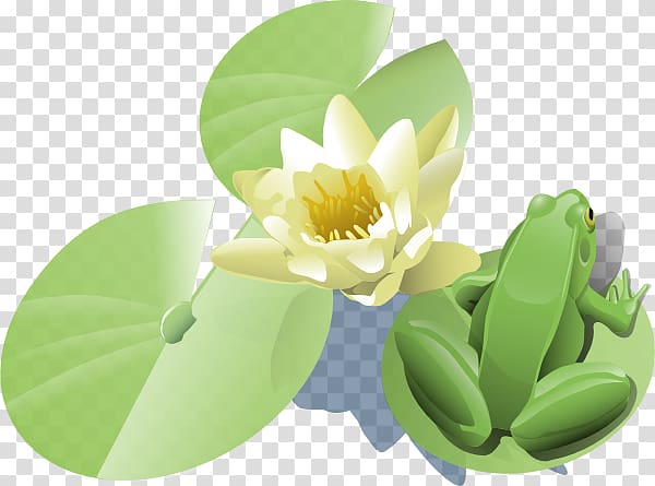 Frog Water lilies , Frog On Lily Pad Tattoo transparent background PNG clipart