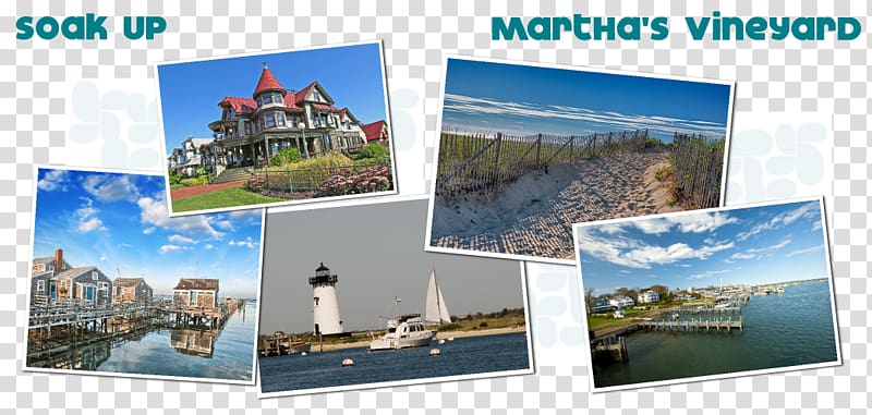 Advertising Tourism, Martha's Vineyard Sharks transparent background PNG clipart