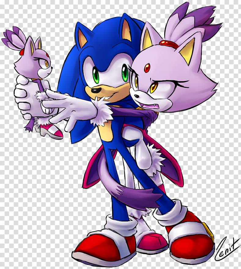 Sonic the Hedgehog Shadow the Hedgehog Sonic Rush Amy Rose Blaze the Cat, blaze transparent background PNG clipart