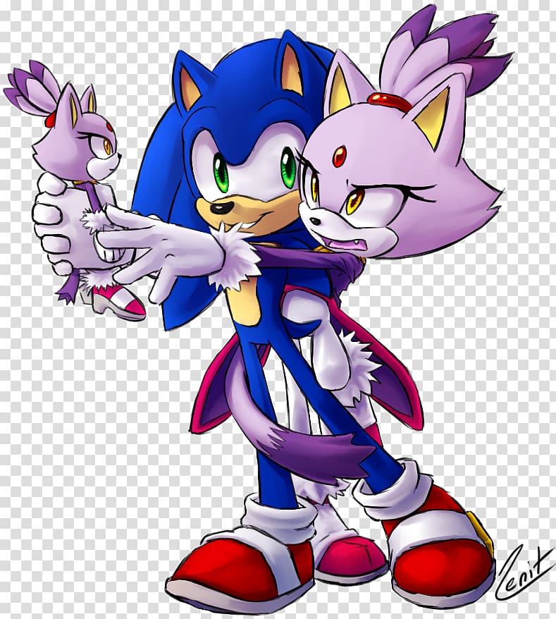 blaze the cat and shadow the hedgehog