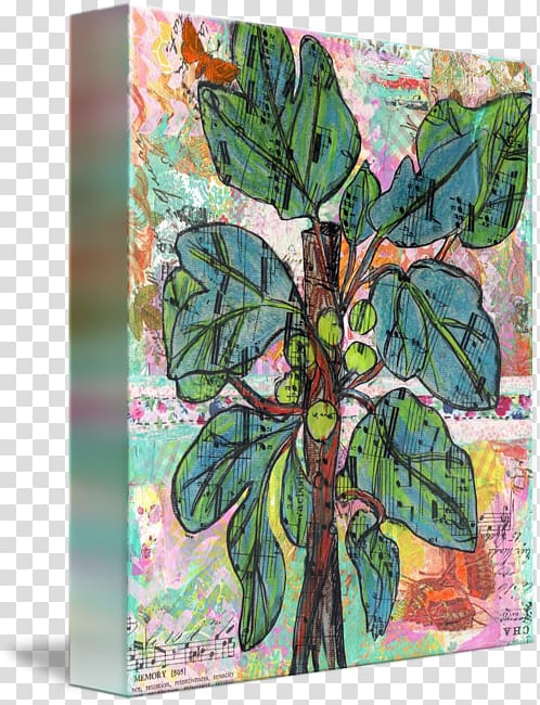 Leaf, fig tree transparent background PNG clipart
