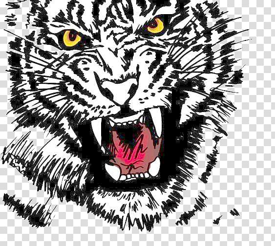 white and black tiger , Tiger Logo Drawing , Ferocious tiger transparent background PNG clipart