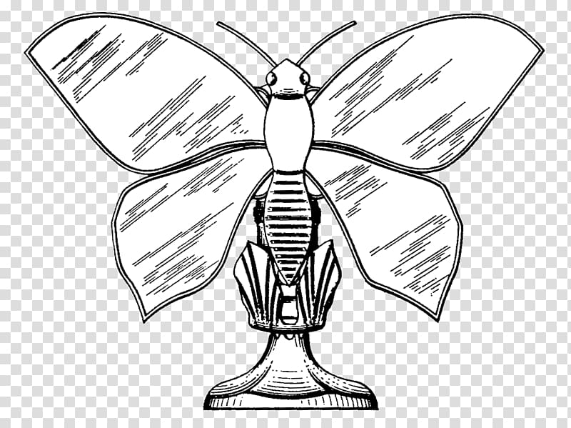 Insect Drawing /m/02csf Line art , insect transparent background PNG clipart