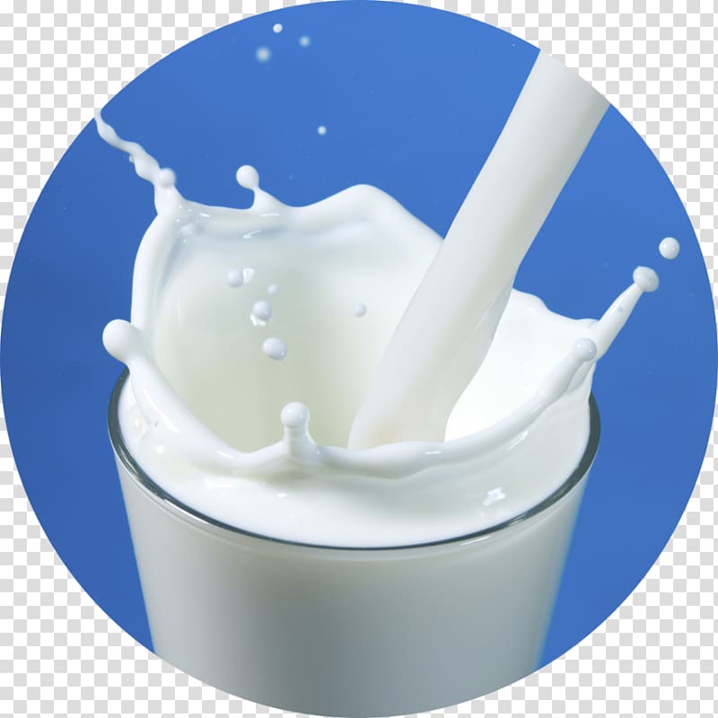 Rice milk Chocolate milk Skimmed milk Dairy Products, milk transparent ...