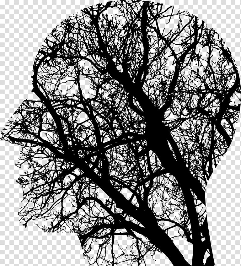 Human brain Neurofeedback Transcranial magnetic stimulation Head, Brain transparent background PNG clipart