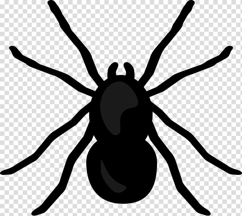 Spider Desktop , hurricane transparent background PNG clipart