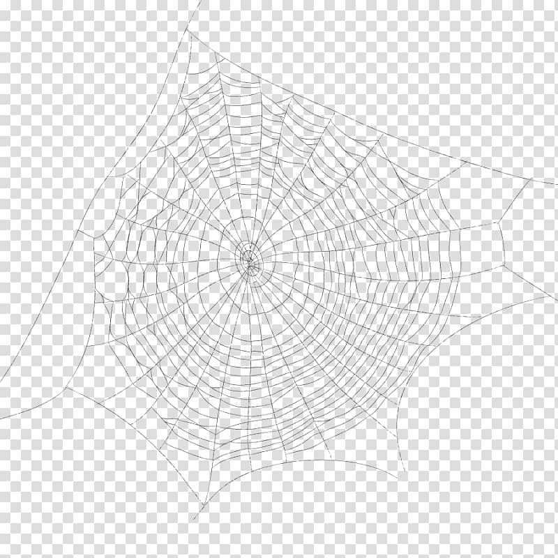 Spider web Drawing Point, spider transparent background PNG clipart